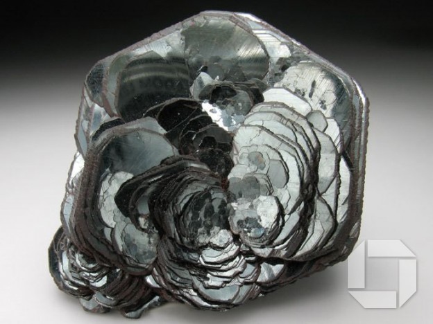 Hematite Rose